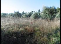 Ourem-Terreno (1-T-15718051)