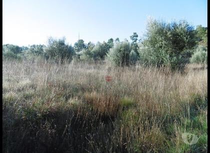 Terrenos a venda - Fotos para Ourem-Terreno (1-T-15718051)