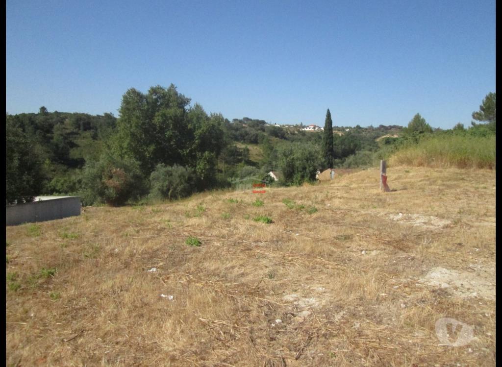 Terrenos Tomar - Fotos para Tomar-Terreno para construção (3-T-36517031)