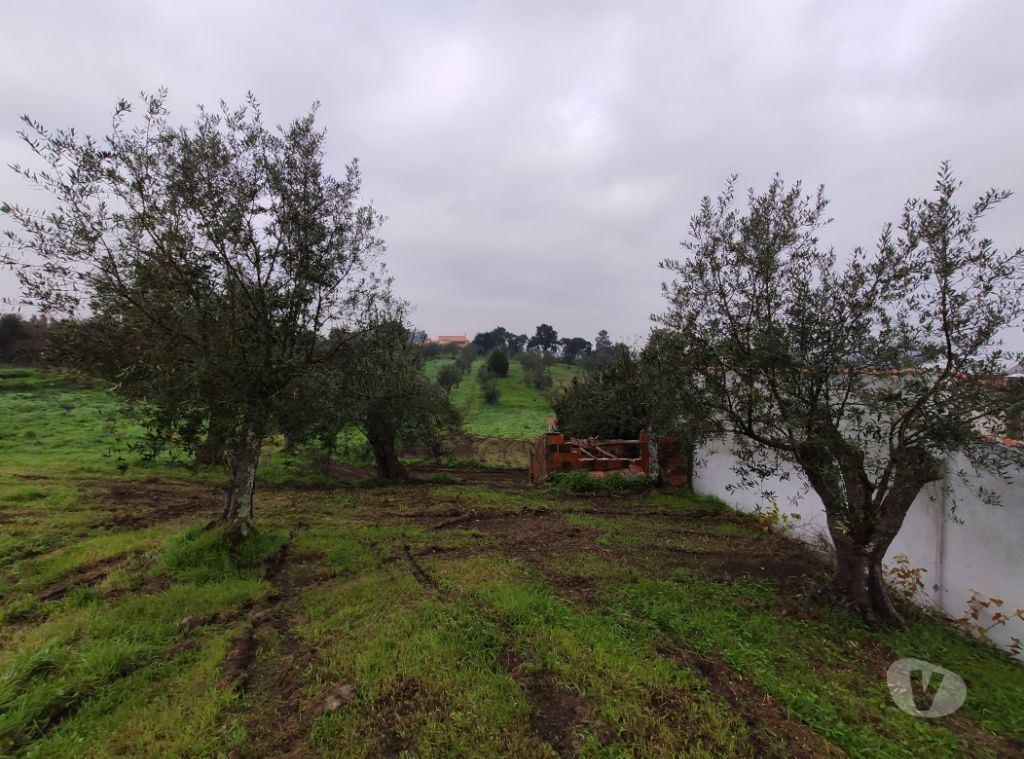 Terrenos Ourém - Fotos para Ourem-Terreno em local calmo com vista espectacular. (1-T-000004)