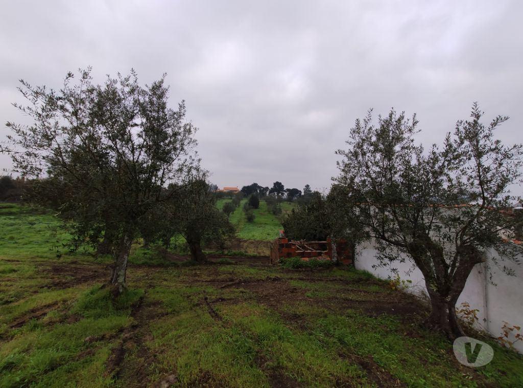 Terrenos Ourém - Fotos para Ourem-Terreno em local calmo com vista espectacular. (1-T-000004)
