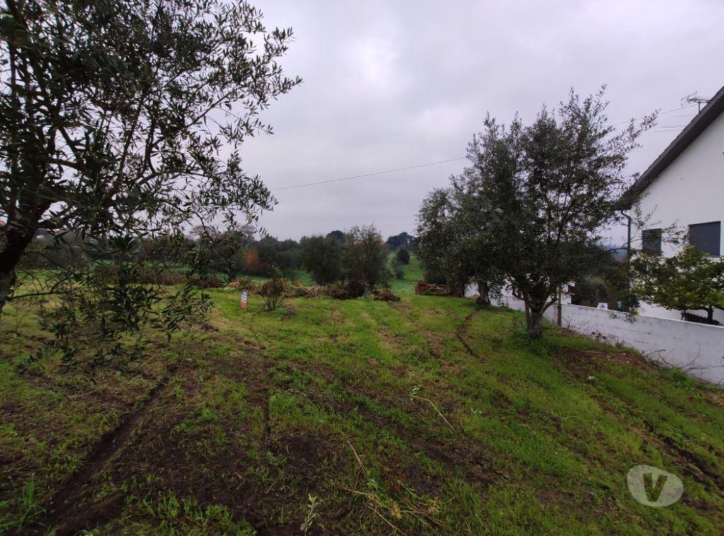 Terrenos Ourém - Fotos para Ourem-Terreno em local calmo com vista espectacular. (1-T-000004)