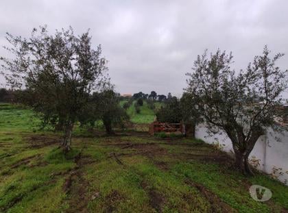 Terrenos a venda - Fotos para Ourem-Terreno em local calmo com vista espectacular. (1-T-000004)