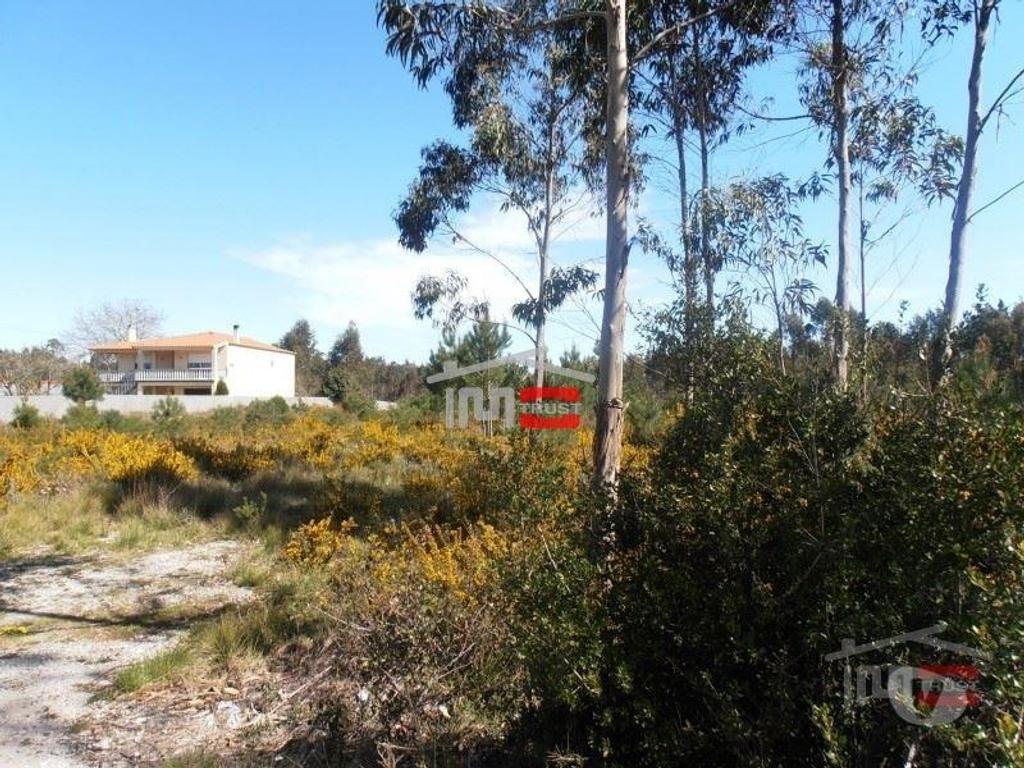 Terrenos Batalha - Fotos para Terreno em local privilegiado, com alguma possibilidade de