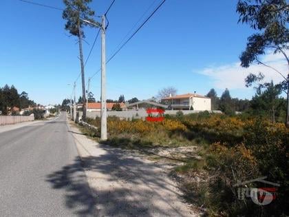 Terrenos - Fotos para Terreno em local privilegiado, com alguma possibilidade de