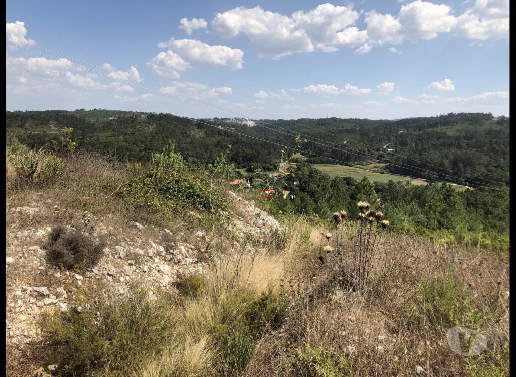 Terrenos Batalha - Fotos para Batalha-Terreno com ruinas (T-14518093)