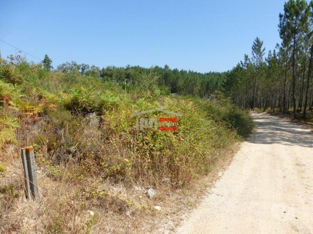 Terrenos Tomar - Fotos para Tomar-Lote de terreno em Suímo (3-T-34316043)