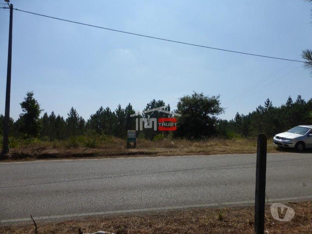 Terrenos Tomar - Fotos para Tomar-Lote de terreno em Suímo (3-T-34316043)