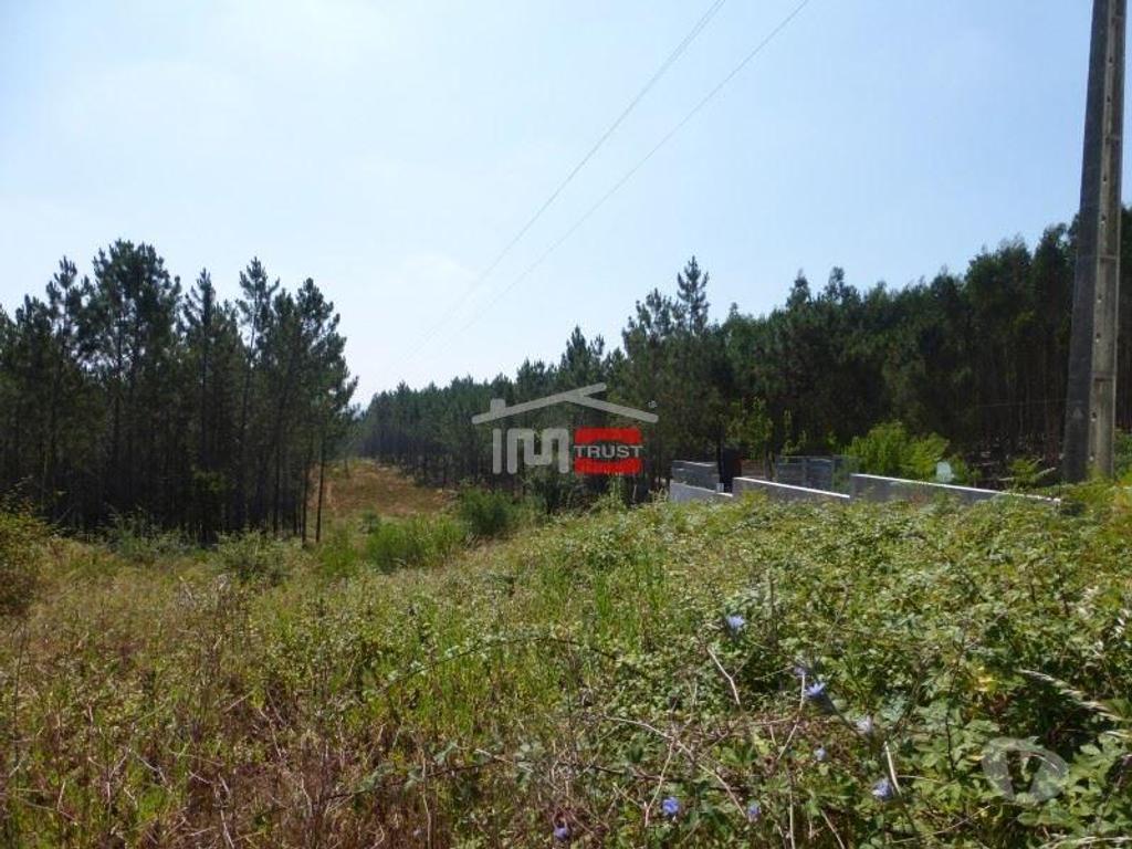 Terrenos Tomar - Fotos para Tomar-Lote de terreno em Suímo (3-T-34316043)