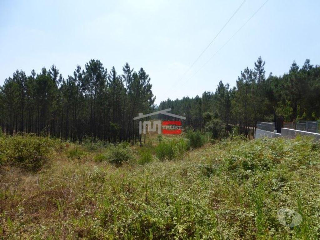 Terrenos Tomar - Fotos para Tomar-Lote de terreno em Suímo (3-T-34316043)