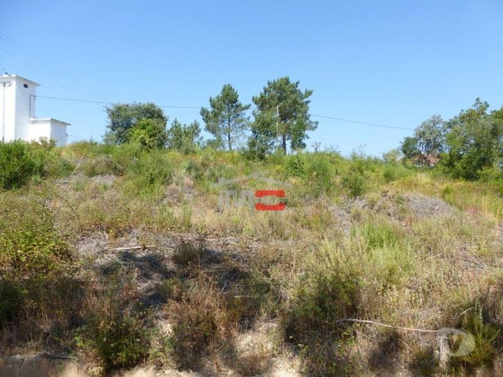 Terrenos Tomar - Fotos para Tomar-Lote de terreno em Suímo (3-T-34316043)