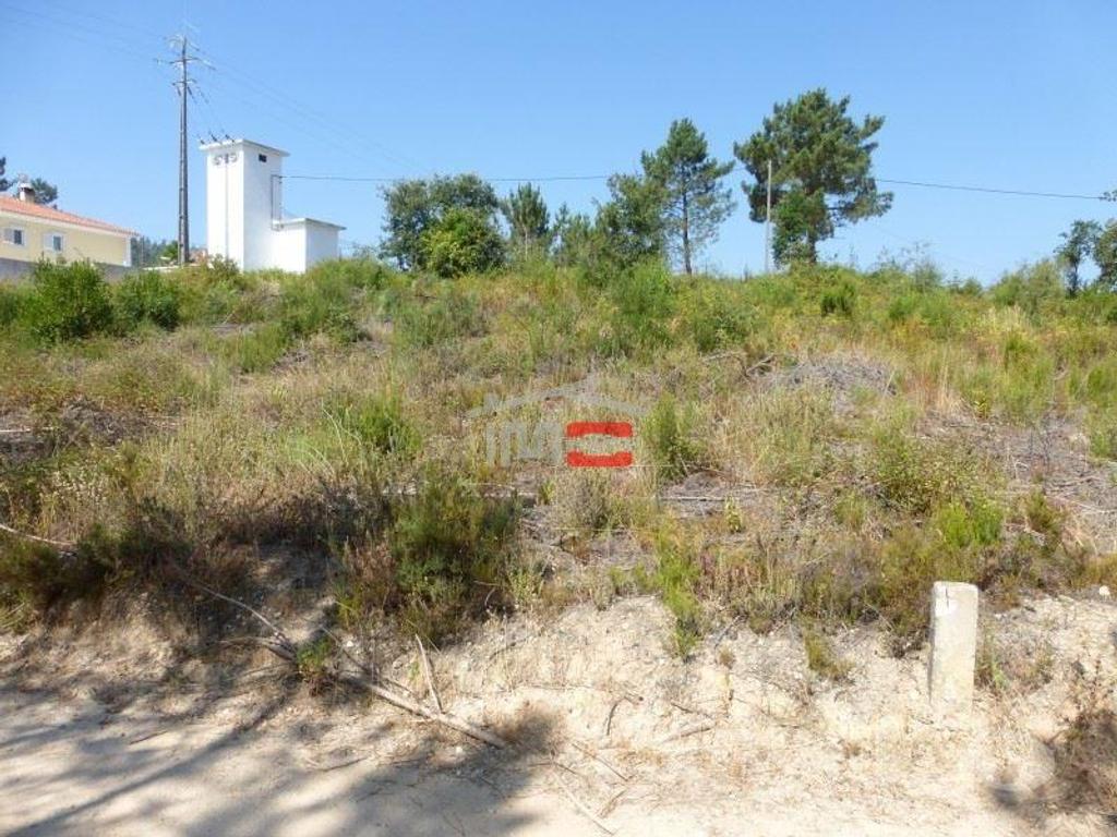 Terrenos Tomar - Fotos para Tomar-Lote de terreno em Suímo (3-T-34316043)
