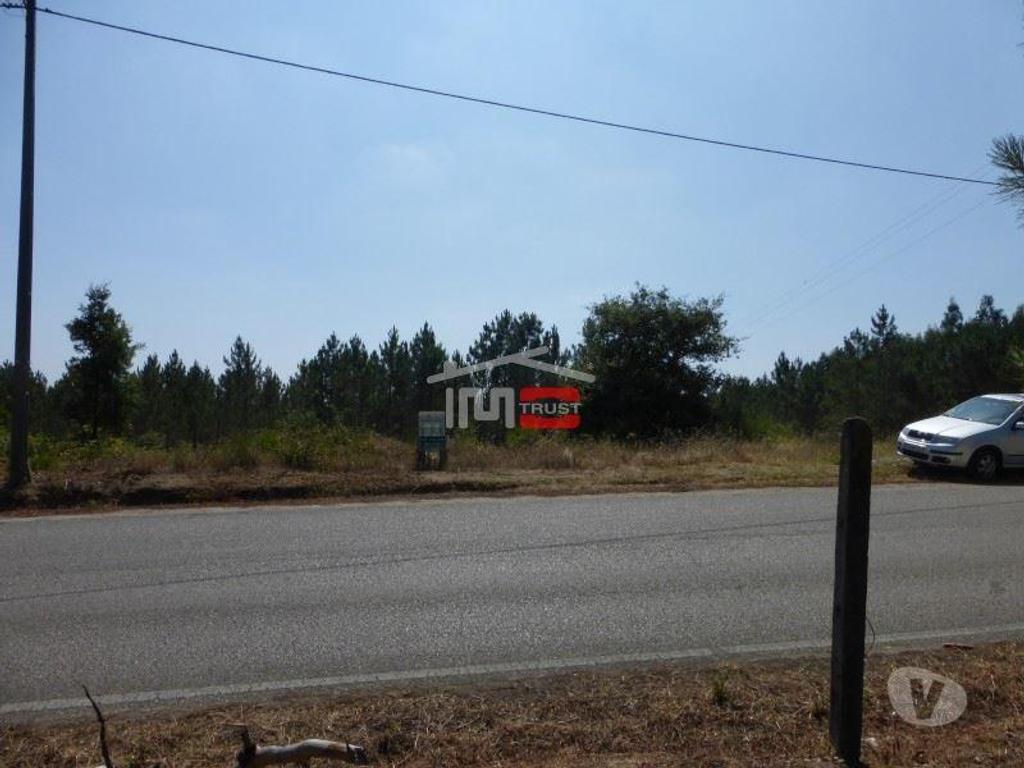 Terrenos Tomar - Fotos para Tomar-Lote de terreno em Suímo (3-T-34316043)