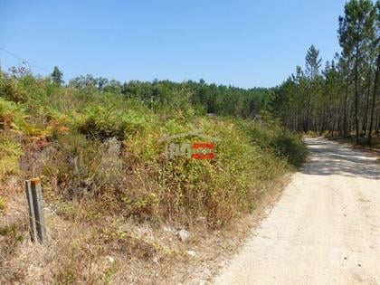 Terrenos a venda - Fotos para Tomar-Lote de terreno em Suímo (3-T-34316043)
