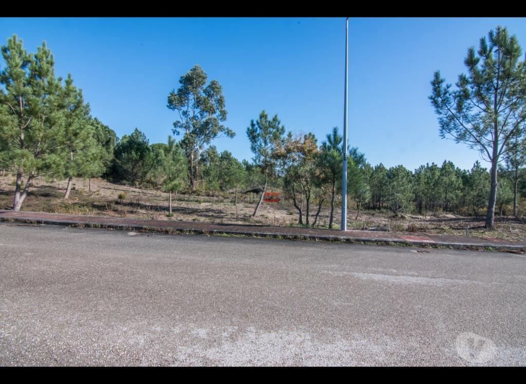 Terrenos Ourém - Fotos para Ourem-Lote de terreno para construção (3-T-14519107)