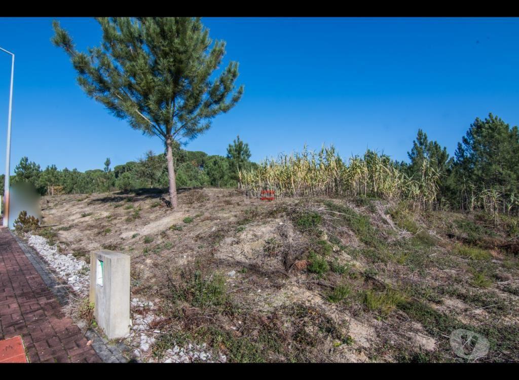 Terrenos Ourém - Fotos para Ourem-Lote de terreno para construção (3-T-14519107)