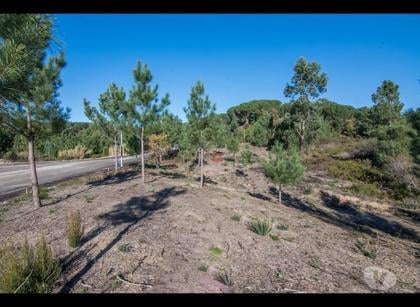 Terrenos e Quintas - Fotos para Ourem-Lote de terreno para construção (3-T-14519107)