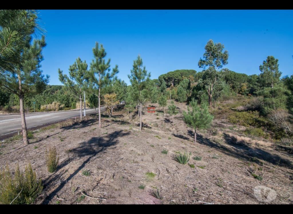 Terrenos Ourém - Fotos para Ourem-Lote de terreno para construção (3-T-14519106)
