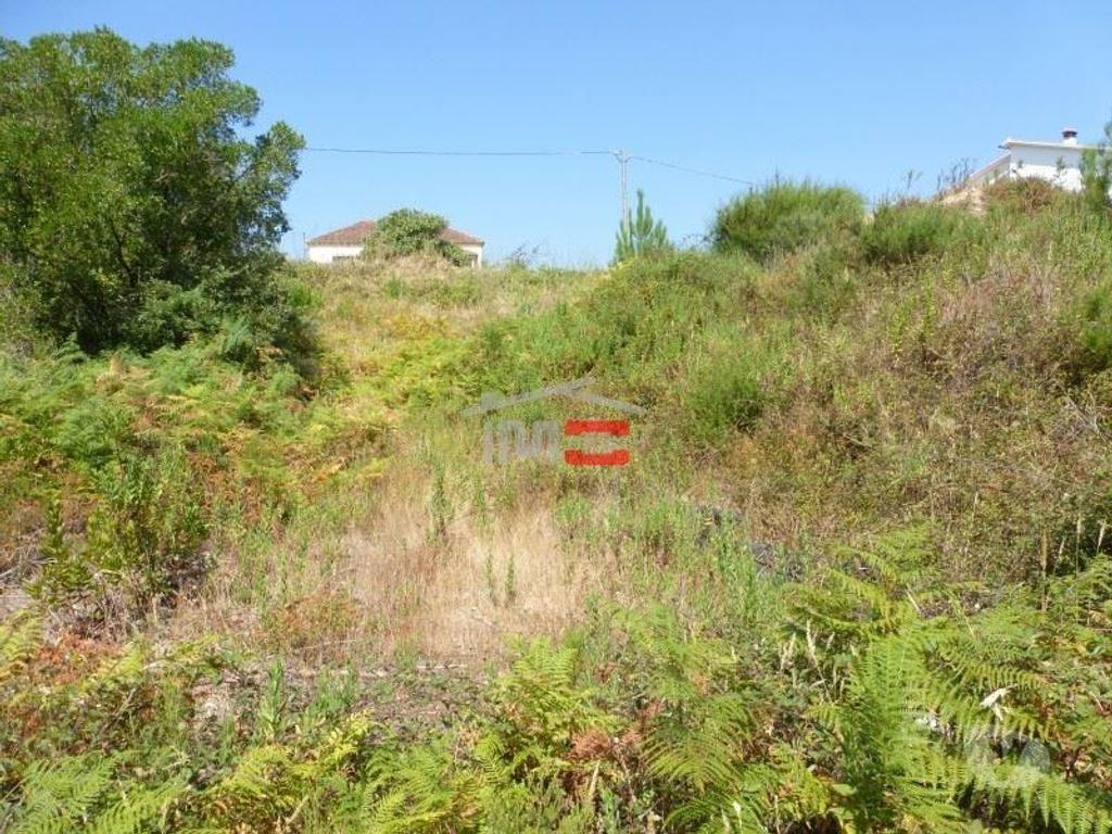 Terrenos Tomar - Fotos para Tomar-Lote de terreno em Suímo (3-T-34316044)