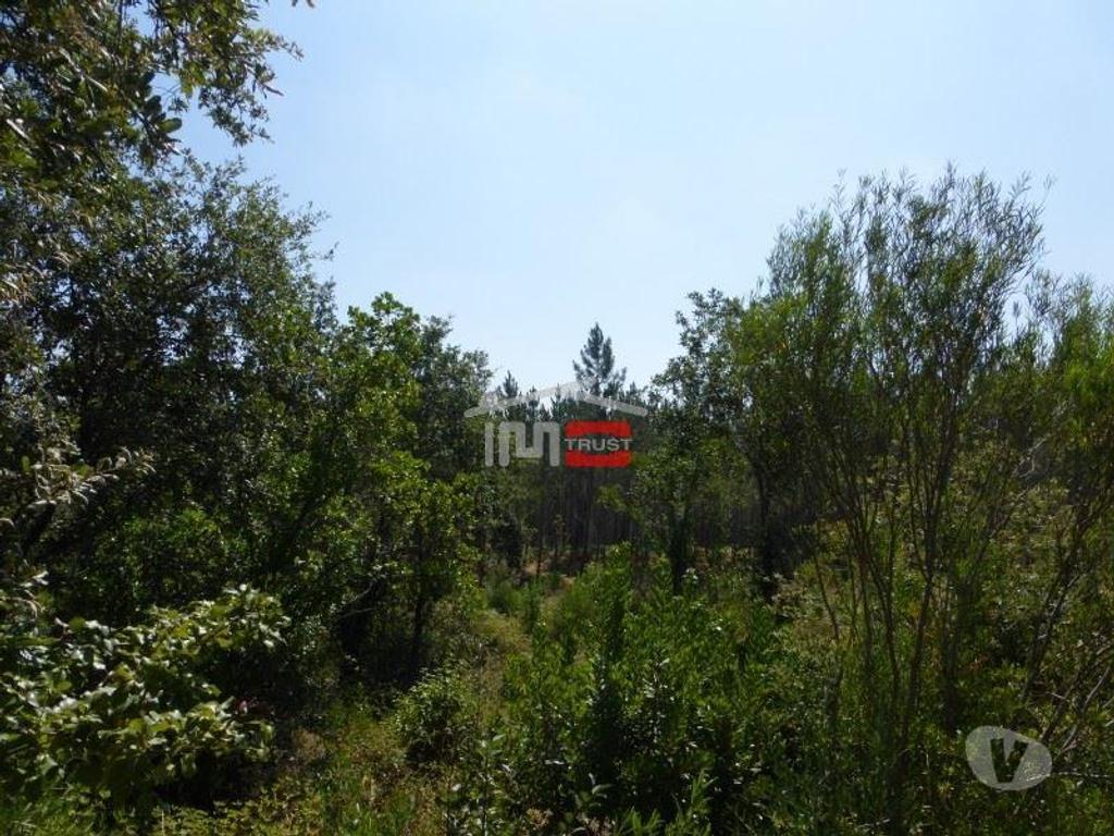 Terrenos Tomar - Fotos para Tomar-Lote de terreno em Suímo (3-T-34316044)