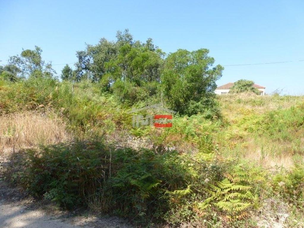 Terrenos Tomar - Fotos para Tomar-Lote de terreno em Suímo (3-T-34316044)