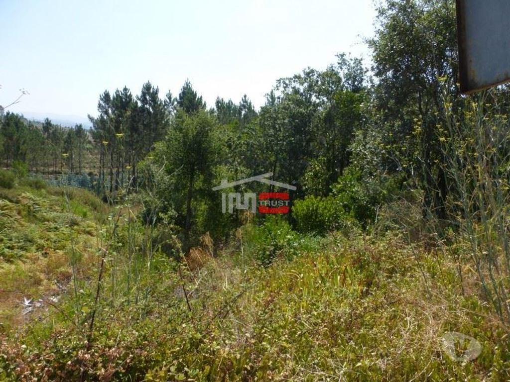 Terrenos Tomar - Fotos para Tomar-Lote de terreno em Suímo (3-T-34316044)