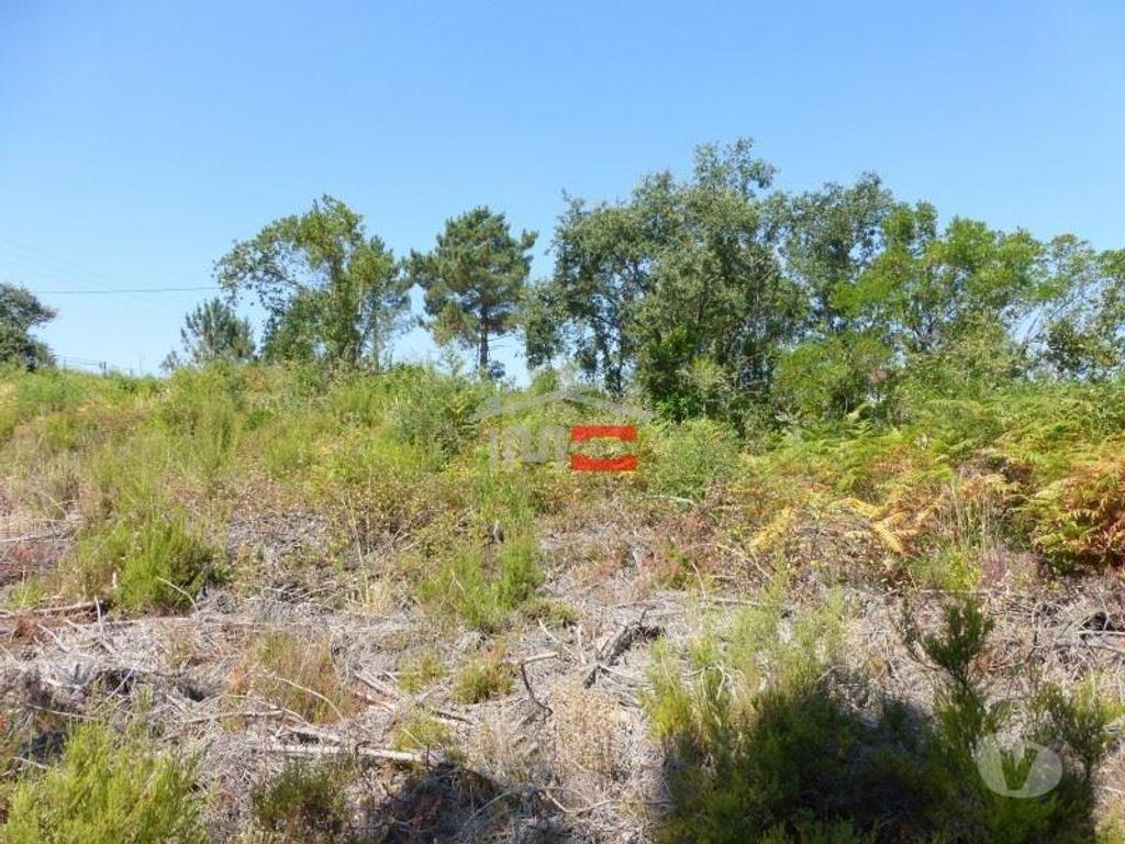 Terrenos Tomar - Fotos para Tomar-Lote de terreno em Suímo (3-T-34316044)