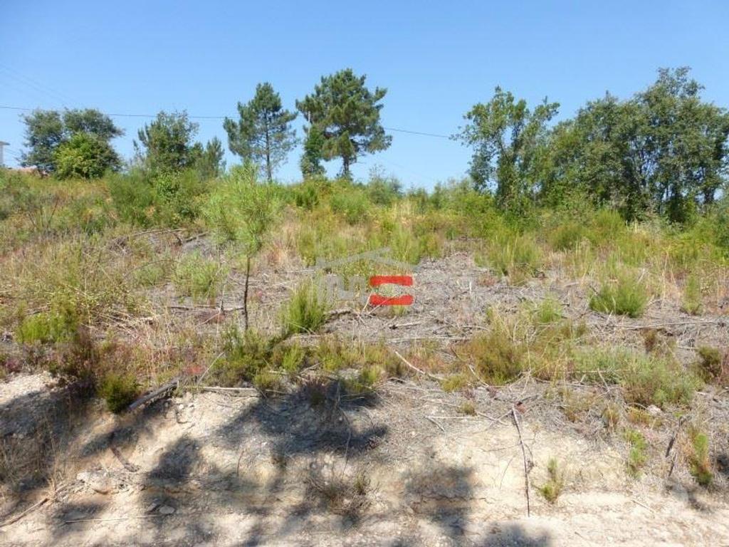 Terrenos Tomar - Fotos para Tomar-Lote de terreno em Suímo (3-T-34316044)