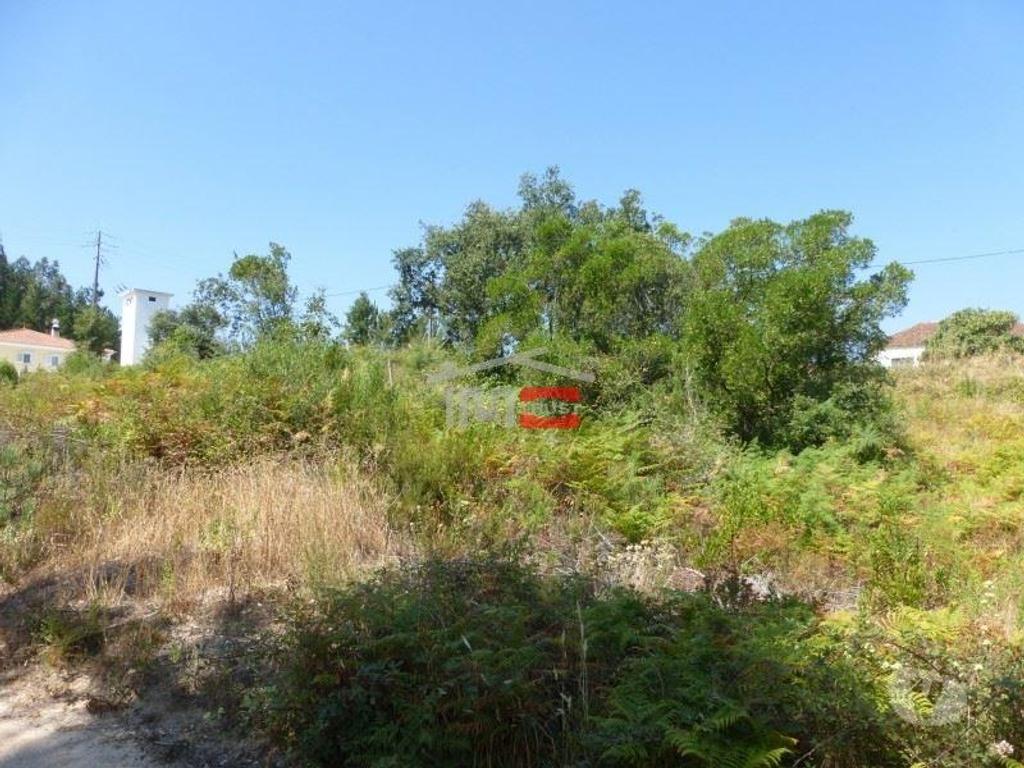 Terrenos Tomar - Fotos para Tomar-Lote de terreno em Suímo (3-T-34316044)