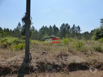Tomar-Lote de terreno em Suímo (3-T-34316044)