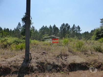 Terrenos - Fotos para Tomar-Lote de terreno em Suímo (3-T-34316044)