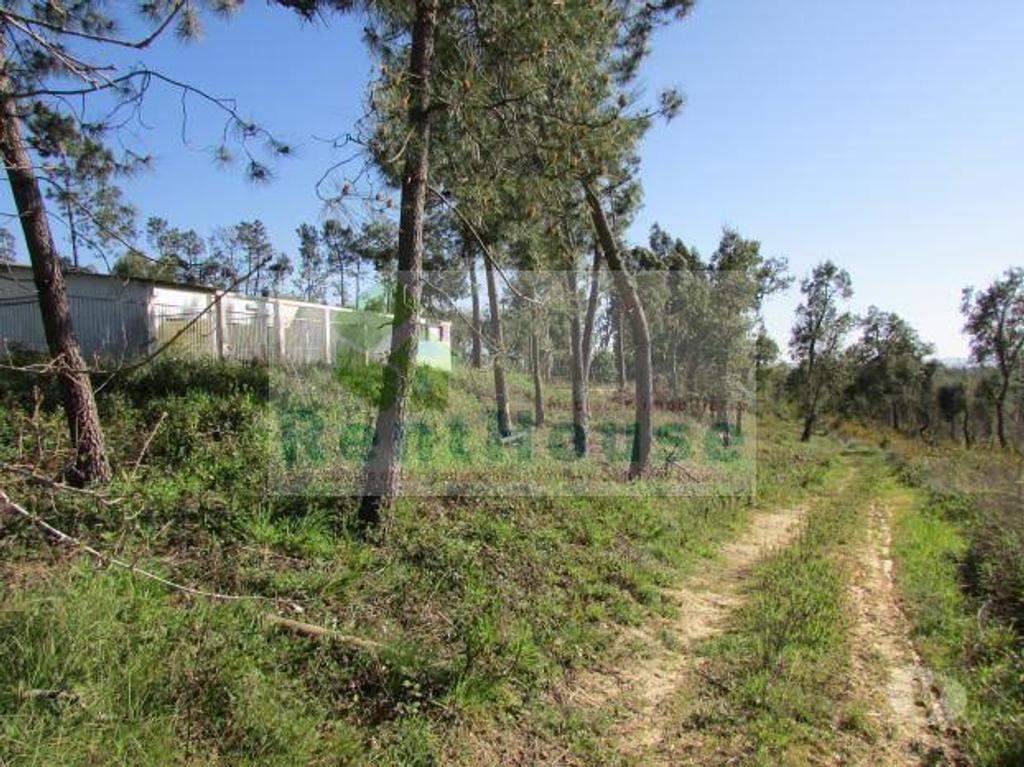 Terrenos Coimbra - Fotos para Coimbra-Terreno Para Construção Junto a Coimbra (VF1090)