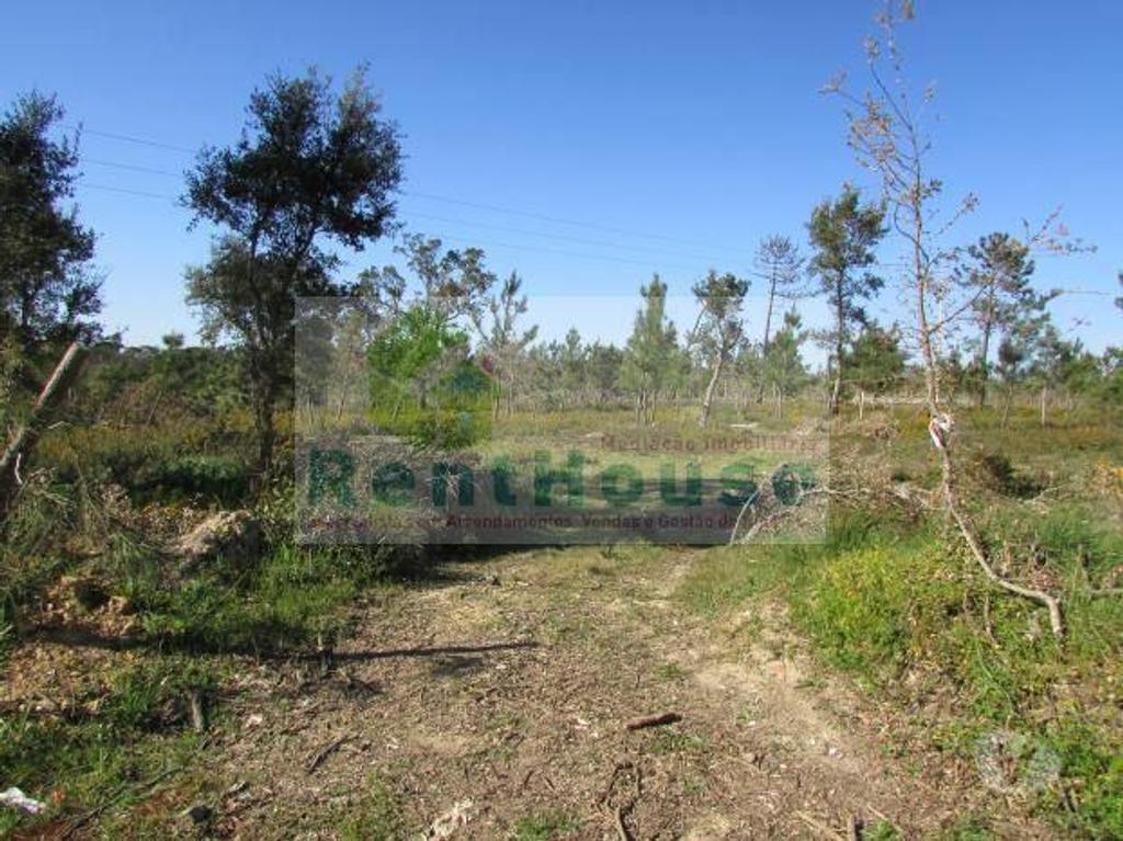 Terrenos Coimbra - Fotos para Coimbra-Terreno Para Construção Junto a Coimbra (VF1090)