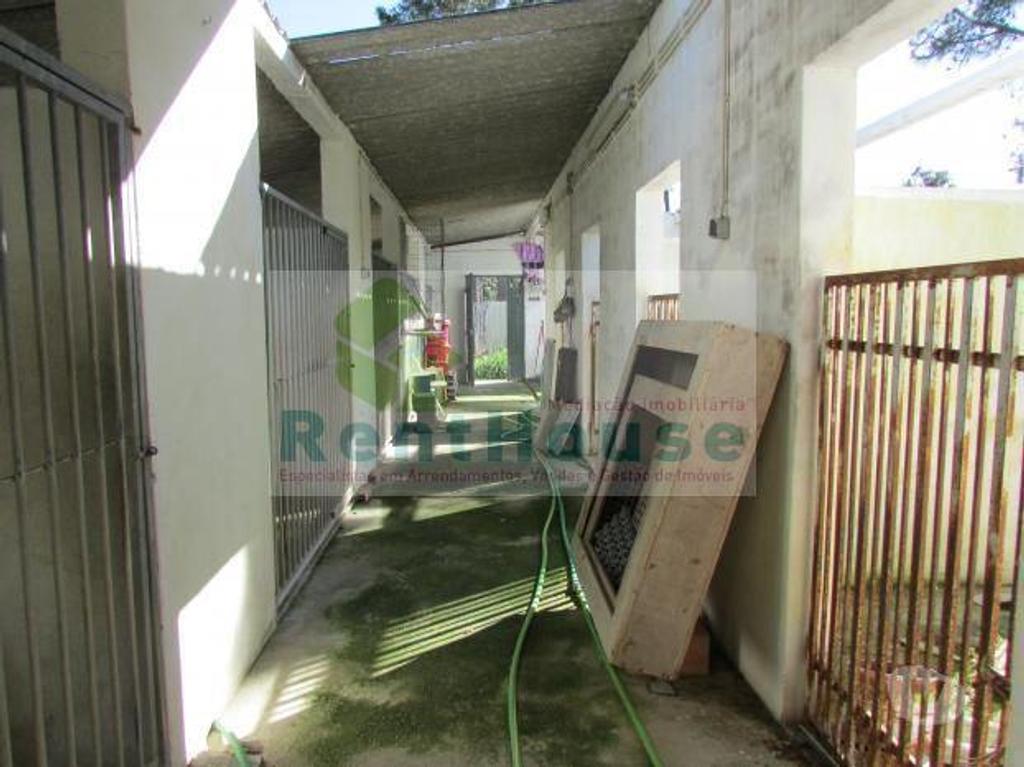 Terrenos Coimbra - Fotos para Coimbra-Terreno Para Construção Junto a Coimbra (VF1090)