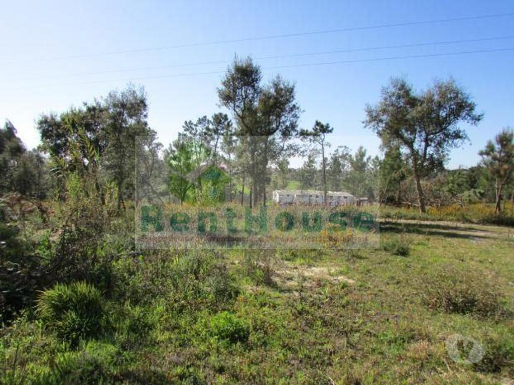 Terrenos Coimbra - Fotos para Coimbra-Terreno Para Construção Junto a Coimbra (VF1090)