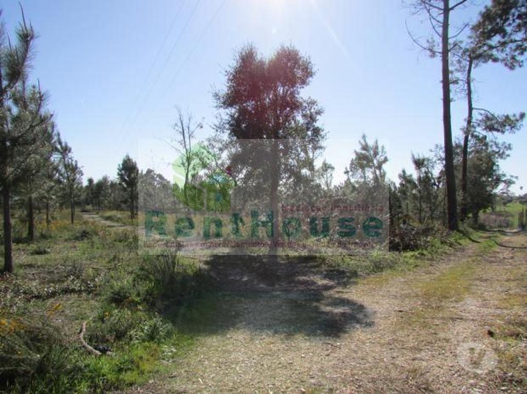 Terrenos Coimbra - Fotos para Coimbra-Terreno Para Construção Junto a Coimbra (VF1090)