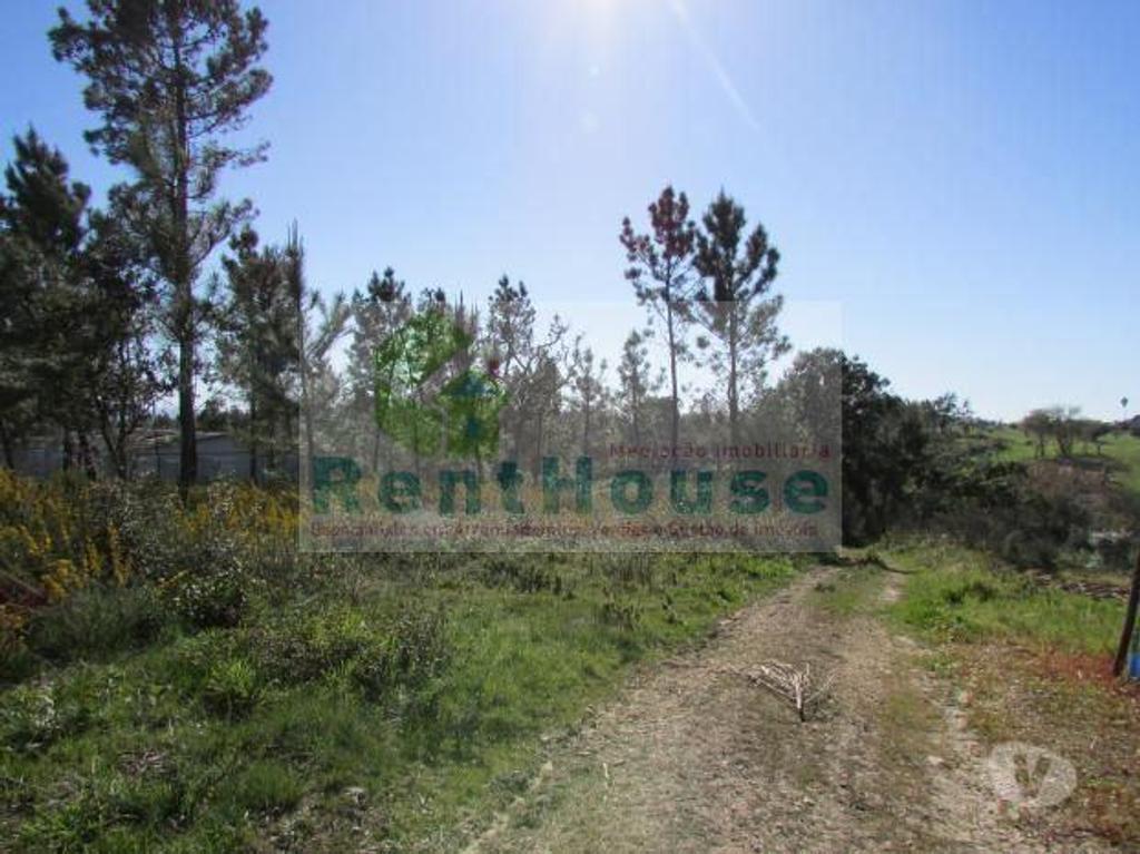 Terrenos Coimbra - Fotos para Coimbra-Terreno Para Construção Junto a Coimbra (VF1090)