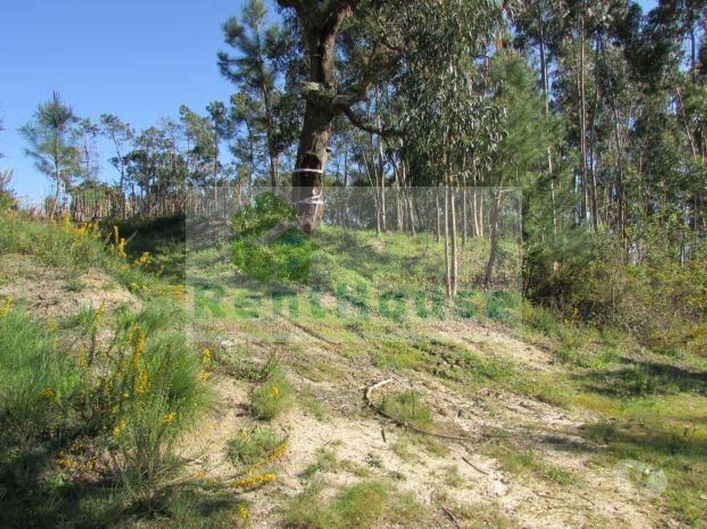 Terrenos Coimbra - Fotos para Coimbra-Terreno Para Construção Junto a Coimbra (VF1090)
