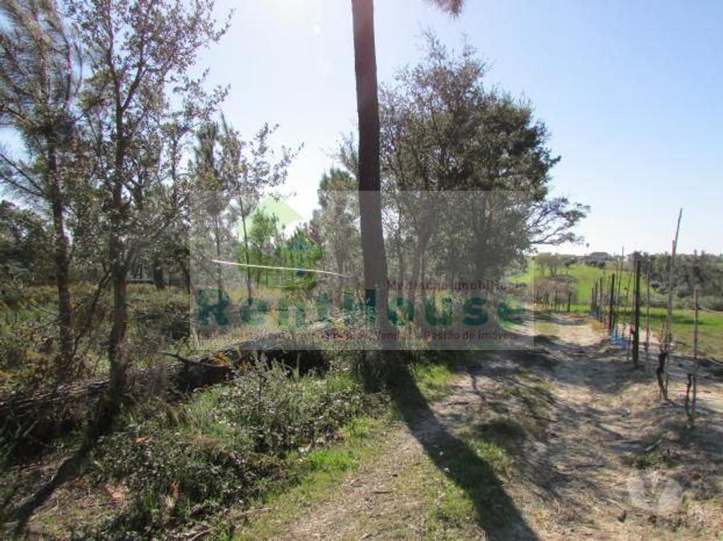 Terrenos Coimbra - Fotos para Coimbra-Terreno Para Construção Junto a Coimbra (VF1090)