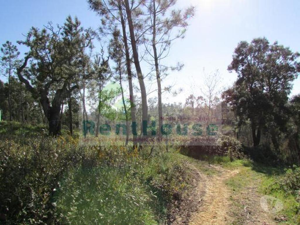 Terrenos Coimbra - Fotos para Coimbra-Terreno Para Construção Junto a Coimbra (VF1090)
