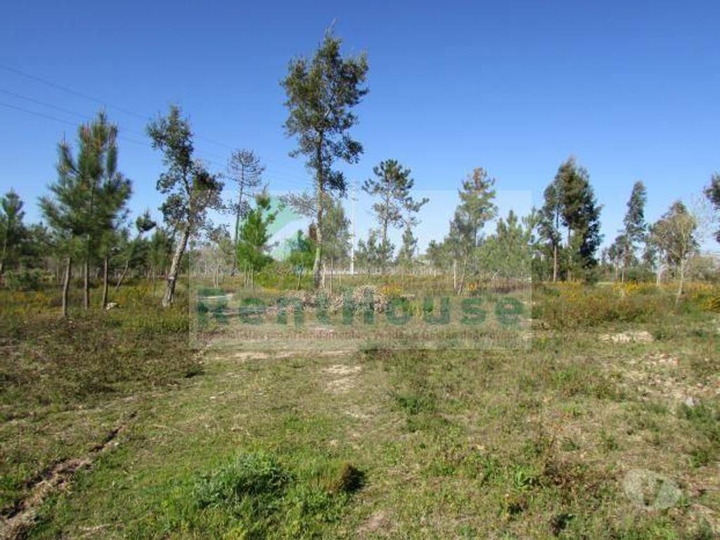 Terrenos Coimbra - Fotos para Coimbra-Terreno Para Construção Junto a Coimbra (VF1090)