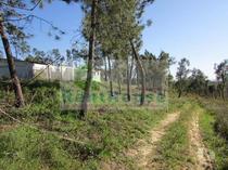 Coimbra-Terreno Para Construção Junto a Coimbra (VF1090)