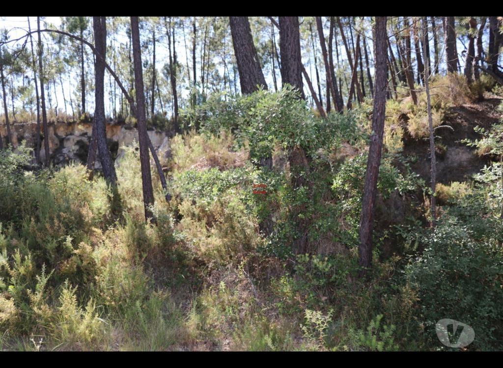Terrenos Ourém - Fotos para Ourem-Terreno (1-T-110019033)