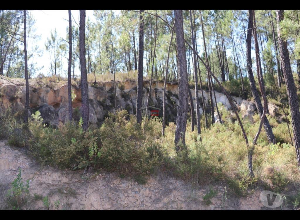 Terrenos Ourém - Fotos para Ourem-Terreno (1-T-110019033)