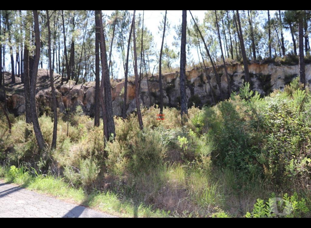Terrenos Ourém - Fotos para Ourem-Terreno (1-T-110019033)