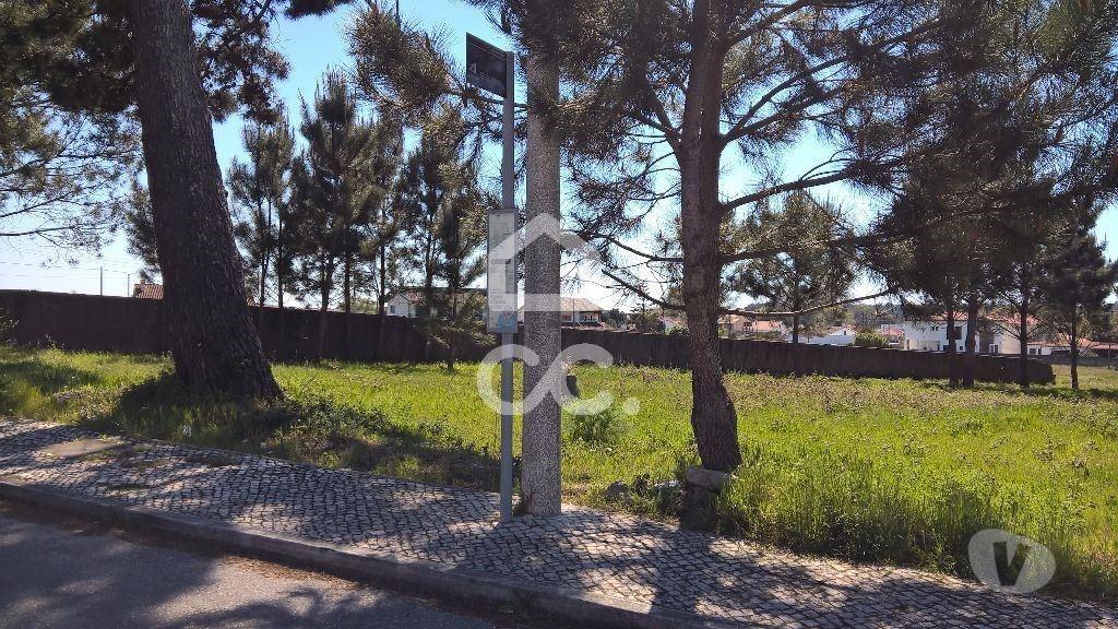 Terrenos Marinha Grande - Fotos para Terreno p const. altura - Terreno para construção de moradias.