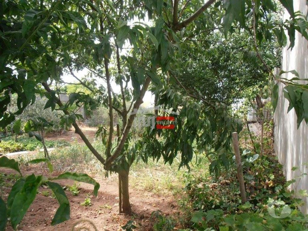 Terrenos Ourém - Fotos para Ourem-Terreno para construção no Boieiro (1-T-1216053)