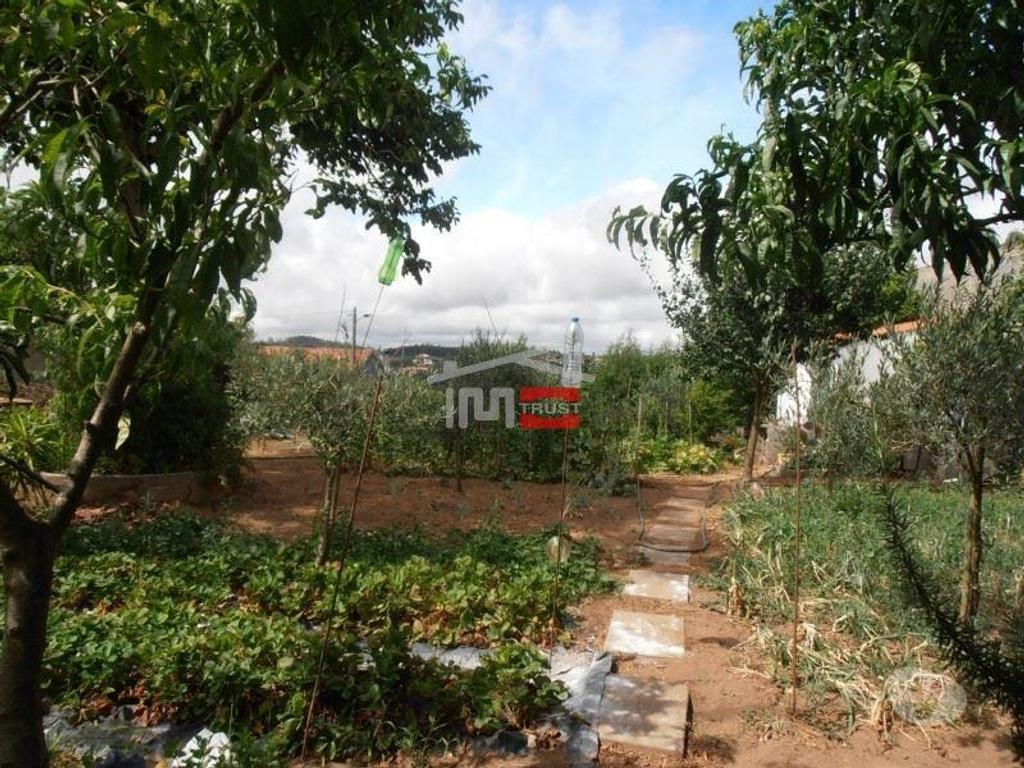 Terrenos Ourém - Fotos para Ourem-Terreno para construção no Boieiro (1-T-1216053)