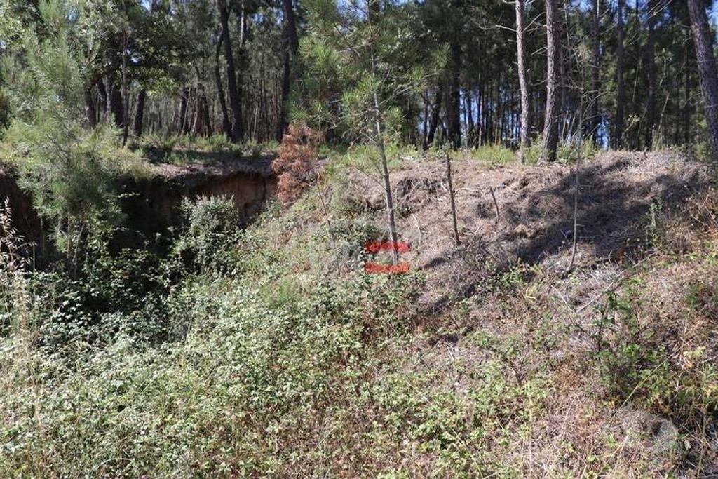 Terrenos Ourém - Fotos para Ourem-Terreno (110019035)