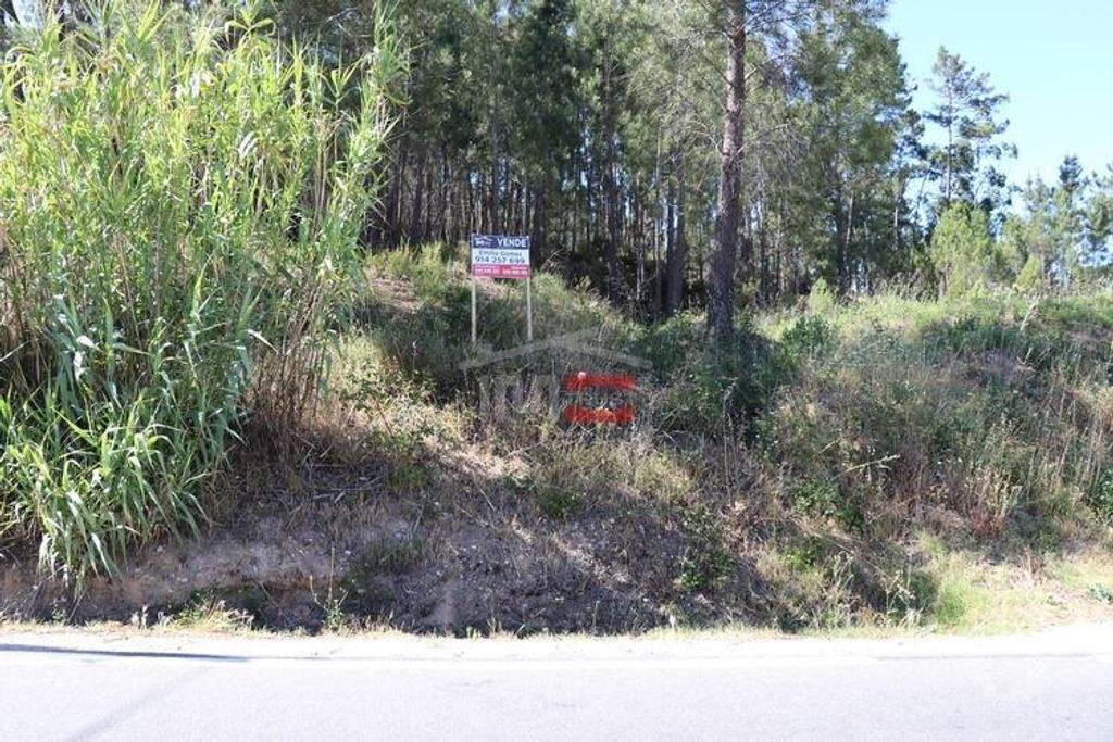Terrenos Ourém - Fotos para Ourem-Terreno (110019035)
